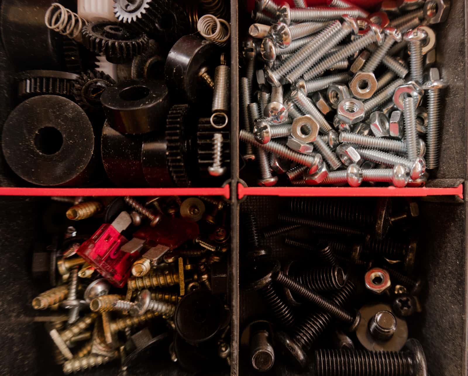 Screws and bolts sorted into the compartments of a tool box tray